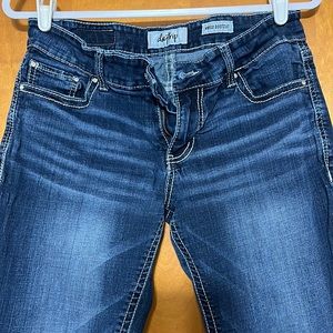 Daytrip 30L Virgo Bootcut EUC